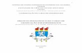 PROJETO PEDAGÓGICO DO CURSO DE GRADUAÇÃO EM … de Enfermagem.pdf · A partir da composição do NDE, Comissão responsável pelo acompanhamento dos processos acadêmicos e mudanças