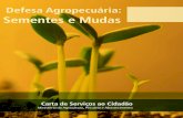 Defesa Agropecuária: Sementes e Mudas · No Brasil, o agronegócio contempla o pequeno, o médio e o grande produtor rural e reúne atividades de fornecimento de bens e serviços