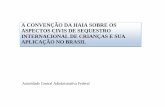 A CONVENÇÃO DA HAIA SOBRE OS ASPECTOS CIVIS DE … · Convenção, é um conceito autônomo, que não se confunde com a definição do termo na legislação brasileira e inclui
