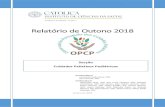 Relatório de Outono 2018 - APCP · Relatório de Outono 2018 Graça Oliveira Janeiro de 2019 Secção Cuidados Paliativos Pediátricos Coordenadores Fernando Coelho Rosa, PhD Ana