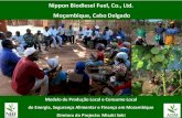 Nippon Biodiesel Fuel, Co., Ltd. Moçambique, Cabo Delgado...Fornecer uma maneira segura de guardar dinheiro em zonas rurais ... Constituição de nova empresa e obter licença de