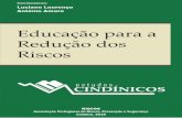 Coordenadores: Luciano Lourenço de Incêndios Luciano Lourenço€¦ · RISCOS 2 Associação Portuguesa de Riscos, Prevenção e Segurança Educação para a Redução dos Riscos