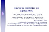 Enfoque sistêmico na agriculturabeneweb.com.br/resources/Enfoque sistêmico...Enfoque sistêmico na agricultura Benedito Silva Neto Disciplina Enfoque sistêmico na agricultura Curso