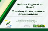 DefesaVegetal no Brasil Construçãoda política · Monilíase do cacaueiro Cacau Amarelecimento letal do coqueiro Coco Striga sp. Milho Ferrugem do trigo Ug99 Trigo Mosaico africano