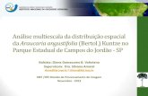 Análise multiescala da distribuição espacial da Araucaria ...ppci/welcome_arquivos/DDValeriano... · Análise multiescala da distribuição espacial da Araucaria angustifolia (Bertol.)