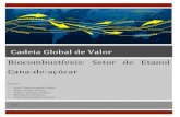 Cadeia Global de Valor Biocombustíveis: Setor de Etanol ...raia.espm.br/wp-content/uploads/2017/05/Setor-de-Etanol.pdf · Por definição, biocombustível é o combustível de origem