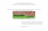 UNIVERSIDADE DE SÃO PAULO - USP · 2012. 5. 24. · adultos de Ascia monuste orseis . 3. Efeito do tamanho da agregação larval na ingestão e assimilação de alimento por larvas