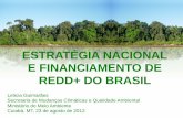 ESTRATÉGIA NACIONAL E FINANCIAMENTO DE REDD+ DO BRASIL · Amazônia Legal – PPCDAm e DETER Criação do Serviço Florestal Brasileiro e Lei de Florestas Públicas Sistema Nacional
