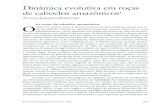 Dinâmica evolutiva em roças de caboclos amazônicosESTUDOS AVANÇADOS 19 (53), 2005 209 As roças de caboclos amazônicos OBJETIVO DESTE texto é descrever brevemente a história