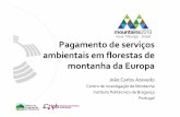 Pagamento de serviços ambientais em florestas de montanha ... Azevedo 7.pdf · – Tipos de floresta (de floresta boreal a savana mediterrânica) – História florestal (e política)