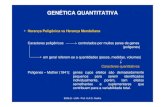 351tica Quantitativa I.ppt) - (Microsoft PowerPoint - Aula 9 Gen\351tica Quantitativa I.ppt) Author: