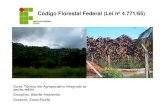 Código Florestal Federal (Lei nº 4.771/65)€¦ · Código Florestal gerou polêmica entre ambientalistas, ruralistas e políticos. As áreas consolidadas, plantações e pastos