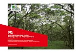 Valorização dos Parques e Reservas - sosma.org.br€¦ · Parques e Reservas ICMS Ecológico e as Unidades de Conservação Municipais da Mata Atlântica JUNHO DE 2019. A Fundação