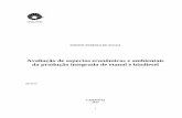 SIMONE PEREIRA DE SOUZArepositorio.unicamp.br/.../1/Souza_SimonePereira_D.pdf · 2018. 8. 27. · SIMONE PEREIRA DE SOUZA Avaliação de aspectos econômicos e ambientais da produção
