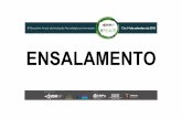 ENSALAMENTO - Universidade Estadual de Maringá...Viabilidade do surfactante polissorbato 80 na diluição de óleos essenciais vegetais para tratamento de sementes de hortaliças