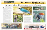 ¡ Aves de Bauru no fococlicknatureza.com/materias/jc_aves_de_bauru.pdf · Inciativa deve virar um livro voltado para a educação ambiental no próximo semestre: “Aves raras de