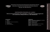 Dimensionamento de Lotação e Saídas de Emergência em ... · Instrução Técnica nº 12/2004 - Dimensionamento de Lotação e Saídas de Emergência 269 5.3.8 O uso de rampas