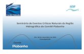 Seminário de Eventos Críticos Naturais da Região Hidrográfica …comitepiabanha.org.br/downloads/relatorio-seminario.pdf · 2017. 9. 11. · COMITÊ DA BACIA HIDROGRÁFICA DO