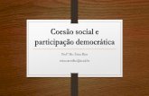 Coesão social e participação democráticanoosfero.ucsal.br/erica.carvalho/pasta-arquivos/educacao-em-direito… · Pistas e recomendações (DELORS, p. 67-68) •A participação
