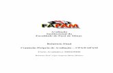 341 de Mina) · Avaliação Institucional da Faculdade de Pará de Minas Relatório Final Comissão Própria de Avaliação – CPA/FAPAM Ciclo Avaliativo 2004/2006