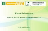 Energias Renovaveis - Brasil e Mundo - ADECE · 2019. 4. 11. · REUNIÃO GT-CE/PI – OBRAS DA REDE BÁSICA DE ENERGIA – (04/05/2017) Fonte: Núcleo de Energia da FIEC – Federação