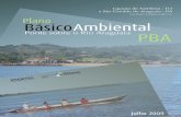 PROGRAMA BÁSICO AMBIENTAL - DNIT · PLANO BÁSICO AMBIENTAL (PBA) | Ponte sobre o Rio Araguaia e Acessos da Ligação entre Xambioá/TO e São Geraldo/PA na Diretriz da Rodovia Federal