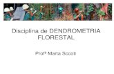 Disciplina de DENDROMETRIA FLORESTAL · 1.Introdução a Dendrometria 2.Medições florestais 3. Área Basal 4. Relação hipsométrica 5. ... Idade das árvores e análise de tronco
