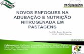 Eficiência de utilização de adubos nitrogenados · Cana-de-açúcar Café Reflorestamento Algodão Arroz Trigo Feijão Pastagens Batata ... Na hidrólise do fertilizante ocorre