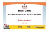 DENGUE - Ribeirão Preto · Dengue - Treinamento Rápido em Serviços de Saúde O Brasil e o estado de São Paulo têm vivido grandes epidemias de dengue nos últimos 10 anos com