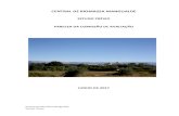 CENTRAL DE BIOMASSA MANGUALDE - apambiente.pt · 2017. 6. 23. · AIA n.º 2943 – Parecer da Comissão de Avaliação Central de Biomassa Mangualde 1 Estudo Prévio 1. Introdução