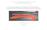 UNIVERSIDADE F DERAL DO RIO DE JANEIRO MUSEU NACIONAL … · Distinção de Espécies de Amphimedon Duchassaing & Michelotti, 1864 (Niphatidae, Haplosclerida, Demospongiae) da costa