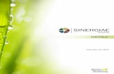 setembro de 2016 - Sinergiae Ambiente · 2017. 1. 13. · Departamento de Marketing Ambiental & Sustentabilidade Empresarial Assessoria na adesão à Iniciativa Europeia Business