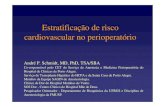 Estratificação de risco cardiovascular no perioperatório...Estratificação de risco cardiovascular no perioperatório André P. Schmidt, MD, PhD, TSA/SBA Co-responsável pelo CET