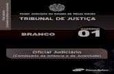 3RGHU -XGLFL¸ULR GR (VWDGR GH 0LQDV *HUDLV PH& T7 1 … · 3 OFICIAL JUDICIÁRIO – COMISSÁRIO DA INFÂNCIA E DA JUVENTUDE (TIPO 1 BRANCA) PROVA APLICADA EM 24/09/2017 Questão