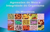 Meios de defesa contra as agressões microbianas · Habitats dos micróbios Humidade elevada Temperatura moderadamente elevada Ausência de luz (obscuridade) Existência de resíduos