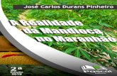 JOSÉ CARLOS DURANS PINHEIRO - Editora Pascal · 2019. 10. 11. · características de cultivo, a mandioca possibilita a ocupação de mão de obra local durante todo o ano, em operações