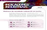 Indicadores CNI ISSN 1983-621X • Ano 18 • Número 6 • junho de …arquivos.portaldaindustria.com.br/app/cni_estatistica_2/... · 2017. 1. 25. · na produção (0,2%) e no uso