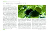 O FUTURO DO ABACATEIRO NA PENÍNSULA IBÉRICA · 2019. 10. 9. · claramente o abacate produzido na Europa do de outras origens. Isto pode tornar-se um problema para os produtores,