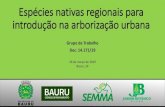 Grupo de Trabalho Dec. 14.171/19 - Bauru · Espécies nativas regionais para introdução na arborização urbana Grupo de Trabalho Dec. 14.171/19 16 de março de 2019 Bauru, SP