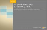 New Relatório de Correição - Portal Goiás Digitalsites.tce.go.gov.br/wp-content/uploads/2017/08/Relatorio... · 2017. 8. 28. · mapeamento de processos, exercício da liderança,