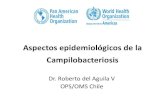 Aspectos epidemiológicos de la Campilobacteriosis · Infecciones por Campylobacter en animales •Diversas especies de Campylobacter habitan los aparatos digestivos y genital. •Algunas