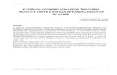 EFICIÊNCIA ECONÔMICA DA CARGA TRIBUTÁRIA INCIDENTE … · 2020. 4. 14. · Revista Cadernos de Finanças Públicas, Brasília, v. 19, n. 1, p. 1- 47, mar. 2019 1 . EFICIÊNCIA