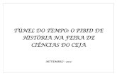 TÚNEL DO TEMPO: O PIBID DE HISTÓRIA NA FEIRA DE CIÊNCIAS ...arquivos.info.ufrn.br/.../TNEL_DO_TEMPO_-_O...FEIRA_DE_CINCIAS_D… · CIÊNCIAS DO CEJA NOVEMBRO - 2012. Centro Educacional