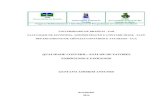 QUALIDADE CONTÁBIL: ANÁLISE DE FATORES ENDÓGENOS E …repositorio.unb.br/bitstream/10482/17187/1/2014_GustavoA... · 2014. 12. 2. · Divisão de Serviços Técnicos Catalogação