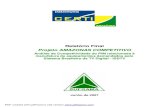 Relatório Final Projeto AMAZONAS COMPETITIVO · Relatório Final Projeto AMAZONAS COMPETITIVO Análise da Competitividade do PIM relacionada à manufatura de equipamentos demandados