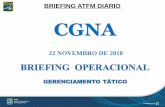 BRIEFING ATFM DIÁRIO CGNAportal.cgna.gov.br/files/abas/2018-11-22/painel_brifim_diario_atfm/... · fir curitiba sbfl (e2353/18) rwy 14/32 clsd nov 05 til dec 10 mon til sat 02:30/07:30