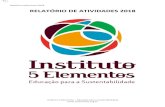 1 Relatório Institucional 2018 RELATÓRIO DE ATIVIDADES 2018 · 2019. 3. 14. · 4 Relatório Institucional 2018 Instituto 5 Elementos – Educação para a Sustentabilidade 2. Políticas