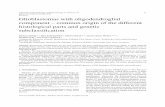 Glioblastomas with oligodendroglial component – common ...downloads.hindawi.com/journals/acp/2010/279317.pdf · 38 B. Klink et al. / Glioblastomas with oligodendroglial component