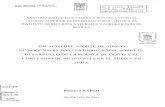 XXXVIII CURSO DE EDAFOLOGÍA Y BIOLOGÍA VEGETAL …digital.csic.es/bitstream/10261/98081/1/Impacto_aporte_abono.pdf · 1.1-Generalidades sobre el olivo y su cultivo El olivo, Olea