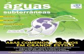 EM GRANDE ESTILO - ABAS - Associação Brasileira de ...abas.org/imagens/revista7.pdf · e em 2009, já deixe um espaço na sua agenda para o icongresso nternacional de meio ambiente